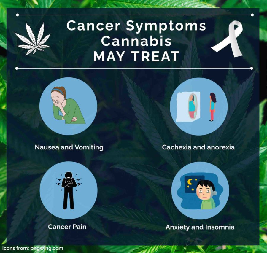 How marijuana helps with cancer